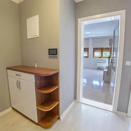 アパート Light De Luxe - With Old Bridge View *